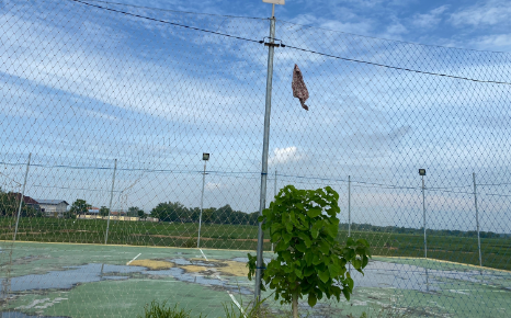Lapangan Olahraga
